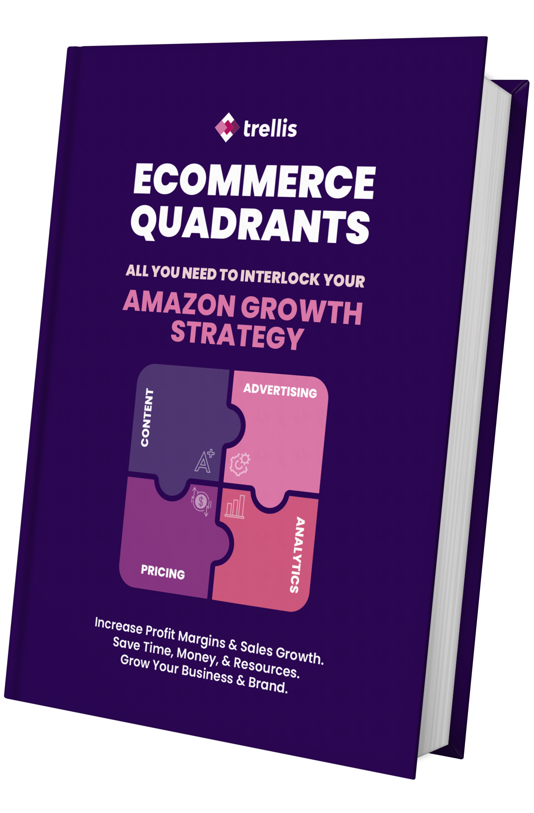 Ecommerce Quadrants: All you need to Interlock your Amazon Growth Strategy​